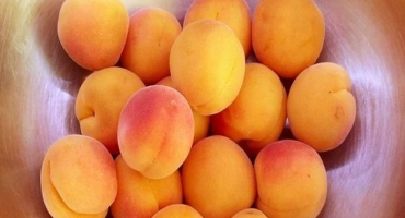 3 Nejlepší recepty meruňkového fruktózového džemu pro diabetiky na zimu